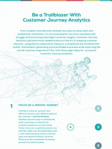 CJA Infographic Project Card